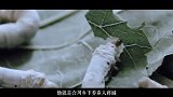 上甘岭战斗英雄蒋诚:退伍返乡扎根农村36载,淡泊名利守初心