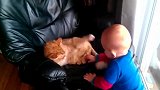 小宝宝闲来无事找猫咪撩闲，结果把猫咪惹怒了，一不小心被挠了