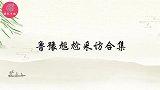 鲁豫尴尬采访合集,语出惊人令人不适,赵本山:你也不是专业的吧