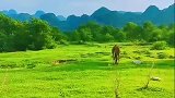 不能出门，景点关闭，在家里数数牛毛，思念一下远方也不错！