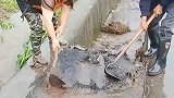 河道堵塞严重，只能这么干了