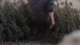 没有注释，很难想到这是在驱赶狼群