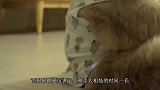 这只狗长了一张人脸，不少人看完都感觉瘆得慌，还有人建议安乐死