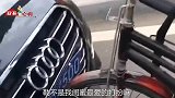 搞笑视频：问君能有几多愁，恰似两树之间卡牛头