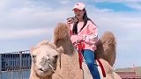 李宇琪沙漠之旅，体验了一把骑骆驼，超过瘾的