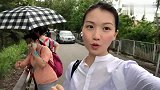 香港人的生活：香港田园风光8万朵向日葵，伯伯表示欣慰