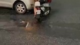 电动车路口闯红灯，与轿车发生碰撞，与轿车发生碰撞