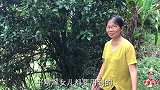 柚子浑身都是宝，皮和果肉可以做柚子茶，青柚子晒干还有特殊用处