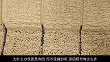 为什么方便面是弯的，而不是直的呢？原因居然有这么多！