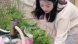 估计你家门口这条河里好东西不少，把地址发过来