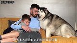 妈妈让狗狗摸一下宝宝，下一秒狗狗的举动，妈妈差点笑岔气了
