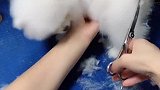 如何变身萌萌小俊介，只差一把剪刀。