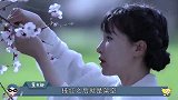 公然与资本“对垒”，李子柒悍然开战背后，恐获央视暗中力挺