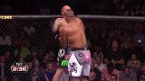 UFC-14年-UFC ON FOX 11自由格斗：布朗vs欧沃瑞-专题