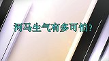 河马发飙有多残暴？撕碎羚羊咬死鬣狗，连同类都不放过，太震撼