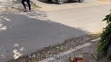 主人能有啥坏心思，看看他们干的事就知道了，狗狗：我太难了