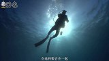 长达18米的巨虫你见过吗？口径近两米，可轻松吞掉一个成年人