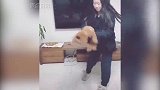 狗子吓得嗷嗷叫，你们站那哈哈笑，这是人干的事吗？