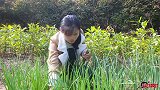 女子过年不回家，独居深山，自耕自种，美食为伴，柴火铁锅蒸饺子