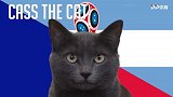 法兰西小鱼干更好吃？ 英短猫咪预测法国将淘汰阿根廷晋级