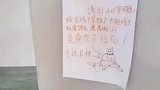 邻居家捡到猫咪张贴“灵魂画像”被猫咪主任一眼认出