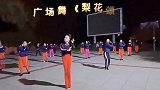 广场舞《梨花颂》