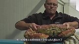 土豪花10000买了一只螃蟹，掰开壳看到里面后傻了