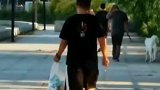 满满的正能量，男子清晨边遛狗边捡垃圾