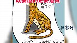 人民日报：一再瞒“豹”，既要追豹更要追责你怎么看