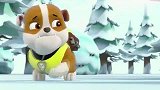 汪汪队：小砾很害怕，真的有雪怪怎么办，把脑袋塞在树丛里