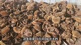 面馆贴文言文“请假条”引热议,有食客专门去探店,店主回应