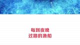 海面上最美的星空——荧光乌贼！