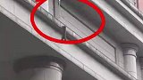 小猫被困高空，即将被拉上来的那一刻，却突然坠落