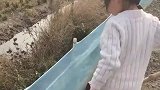 小姑凉下手下脚都稳准狠，小时候我没她这个胆子和技术