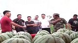老板输了，免费送，赢了要付双倍价钱买