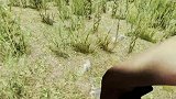 《森林》第九期搜刮野人营地