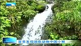 湖北新闻-20120403-武汉启动文化惠民进社区活动