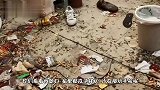 搞笑视频，不就是钱吗