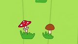 咪好一家：野餐十分顺利，大家都很开心！