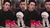 女明星Never也有名头了！除了声音 李佳琦爱宠也申请商标