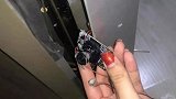 90后新婚夫妻租房被偷拍：摄像头每晚定时偷拍上传