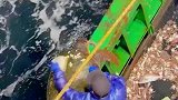 浙江渔民捕捞上大海龟，将海龟背上的藤壶清理干净放归大海