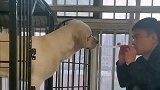 小伙子逗狗的搞笑操作！