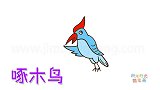 动物简笔画大全，画一只卡通啄木鸟简笔画