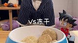 猫爪蛋糕你们馋了没 萌宠出道计划  萌宠生活碎片