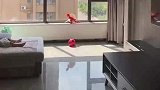 女子买房买西边户，每天都被日照