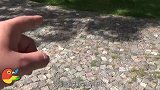 全世界最神奇的石头，一遇到水就疯长，专家切开后愣住了！