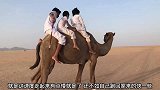 骆驼背上有三位小朋友，就是这个前进速度慢的可怜呀