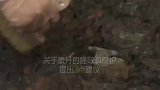 专家对三星堆出土象牙的发掘及保护工作提出宝贵意见