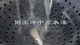 蘑菇新做法，比肉还好吃